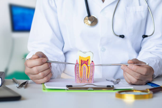 Best After-Hours Dental Trauma Care in Rosemont, IL